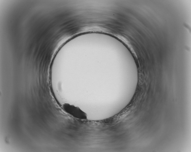 X0000095890815200802081116
