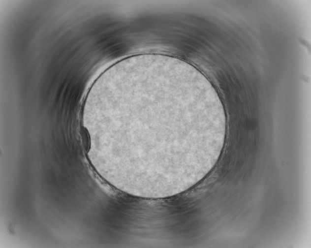 X0000095890816200802081116