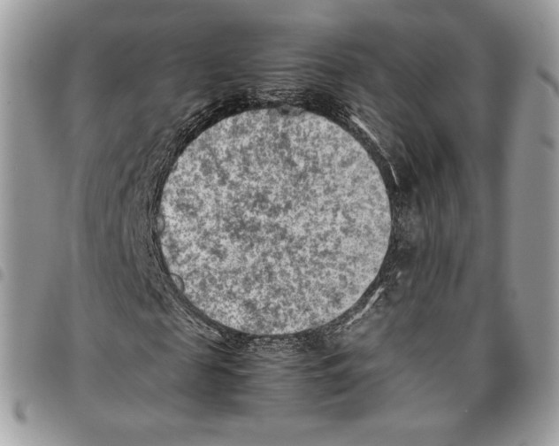 X0000095890817200802081115