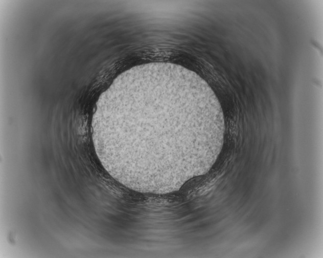 X0000095890818200802081115