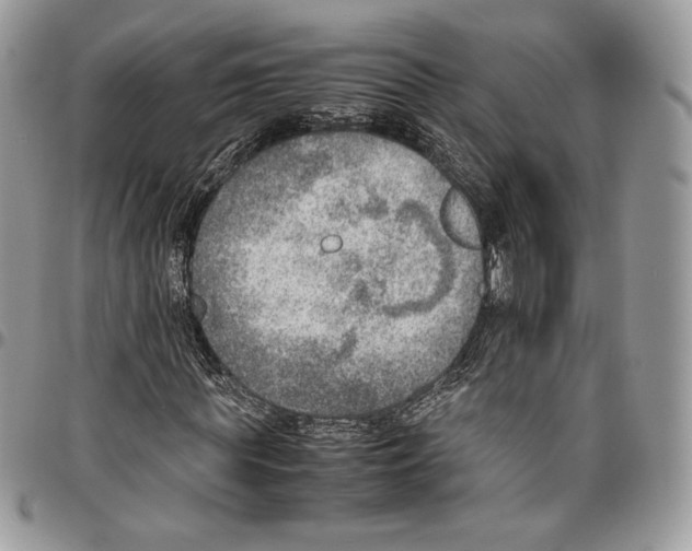 X0000095890819200802081115