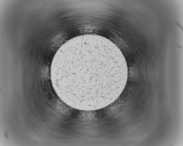 X0000095890820200802081115