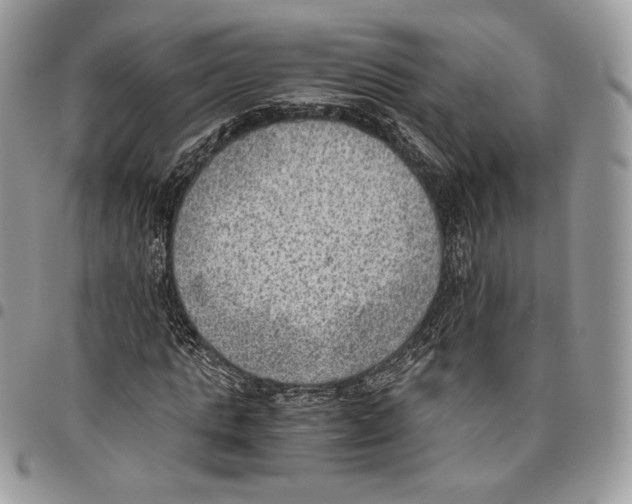 X0000095890821200802081115