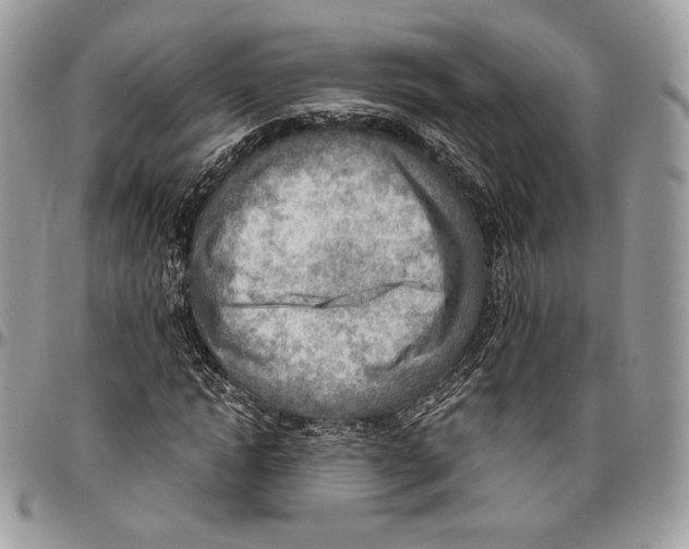 X0000095890822200802081115