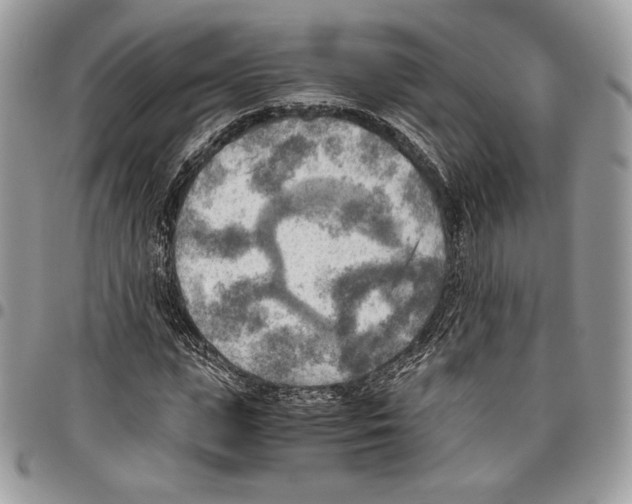 X0000095890823200802081115