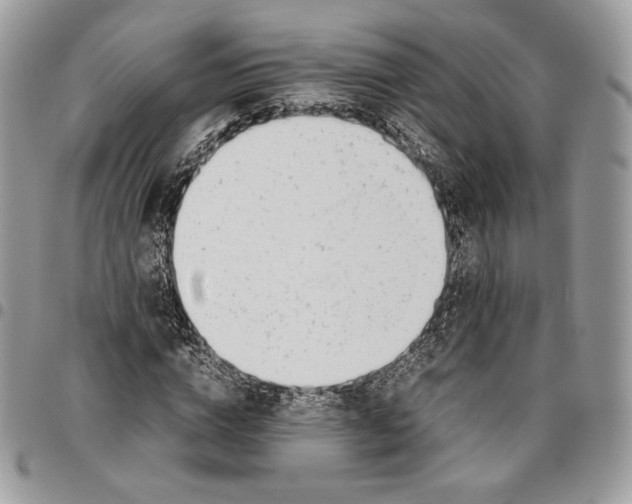 X0000095890824200802081115