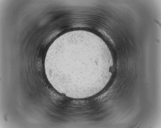 X0000095890825200802081115
