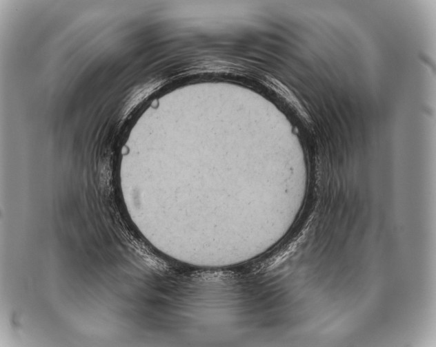 X0000095890826200802081115