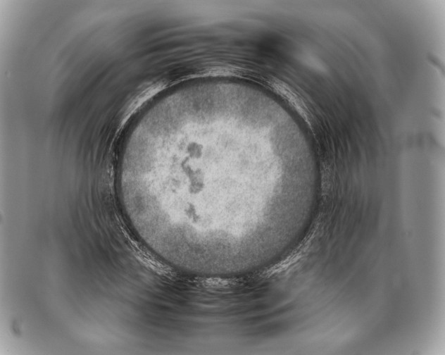 X0000095890827200802081115
