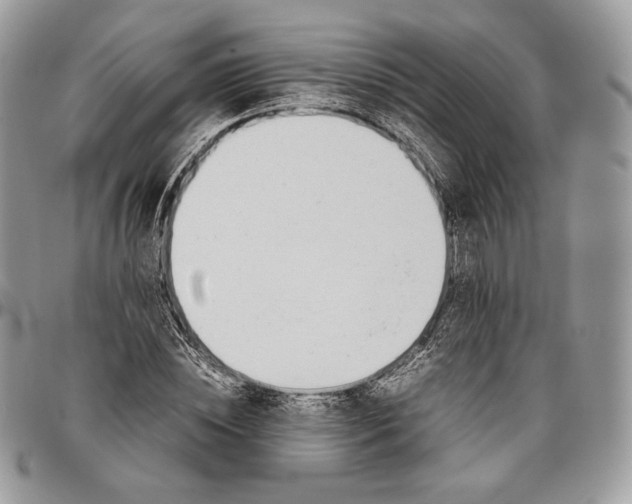 X0000095890828200802081115
