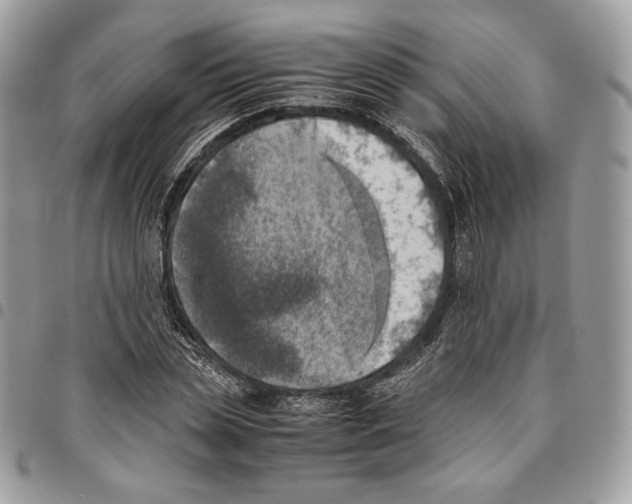X0000095890829200802081115