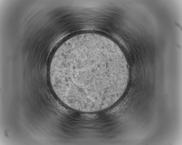 X0000095890831200802081115