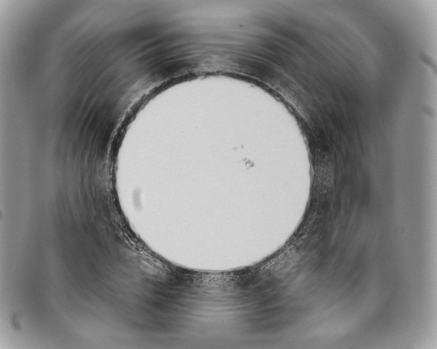 X0000095890832200802081115