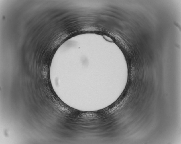 X0000095890833200802081115