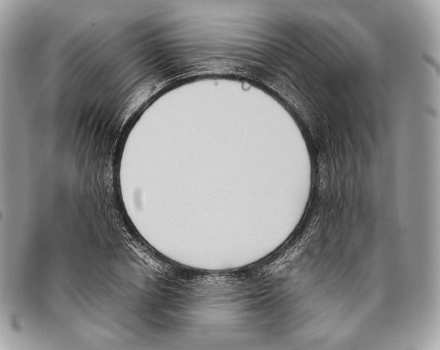 X0000095890834200802081115