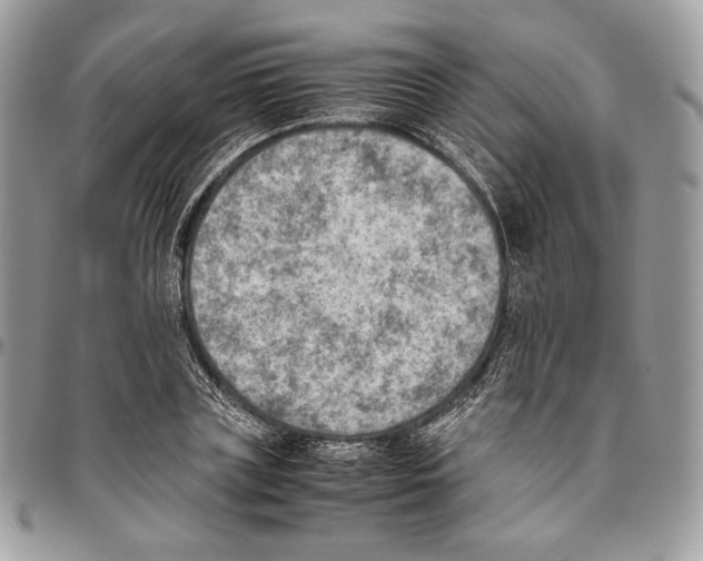 X0000095890835200802081115