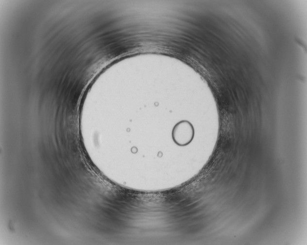 X0000095890836200802081115