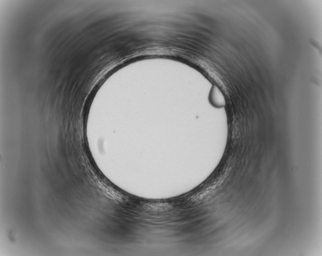 X0000095890837200802081115