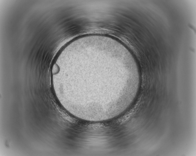 X0000095890838200802081115