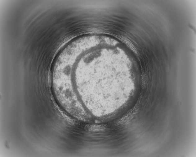 X0000095890839200802081115
