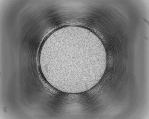 X0000095890840200802081115