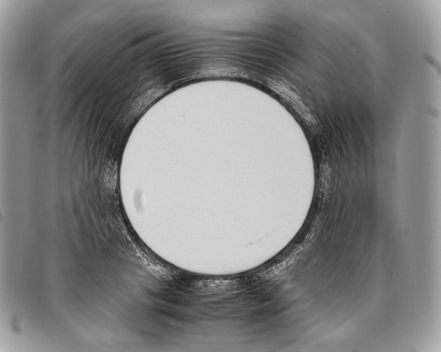 X0000095890841200802081115