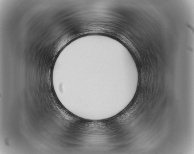 X0000095890842200802081115