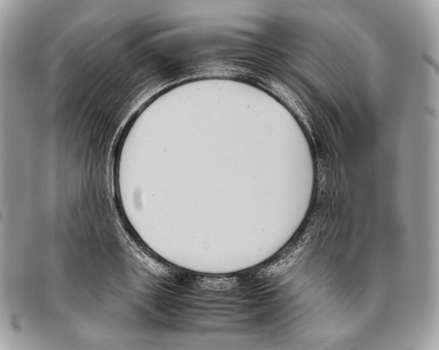 X0000095890843200802081116