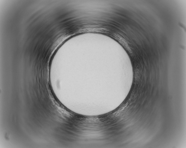 X0000095890844200802081116