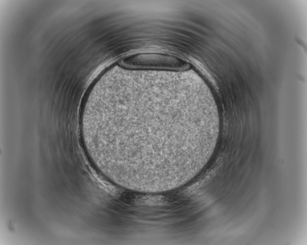 X0000095890845200802081116