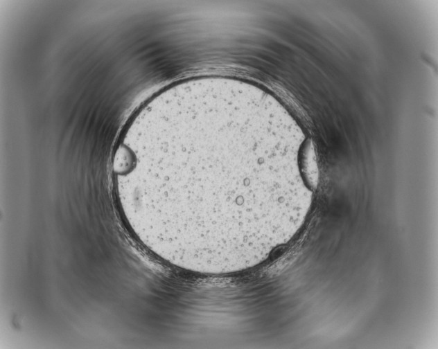 X0000095890846200802081116