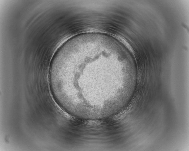 X0000095890847200802081116