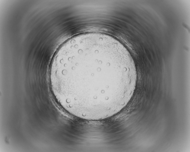 X0000095890848200802081116