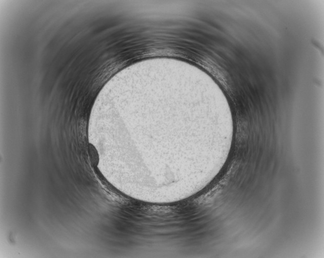 X0000095890849200802081116