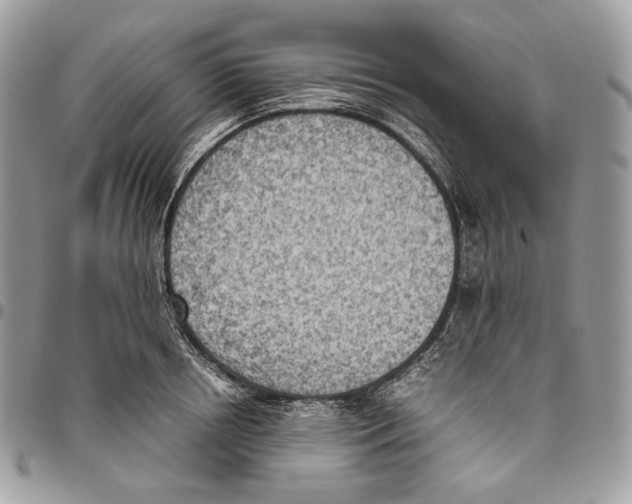 X0000095890850200802081116