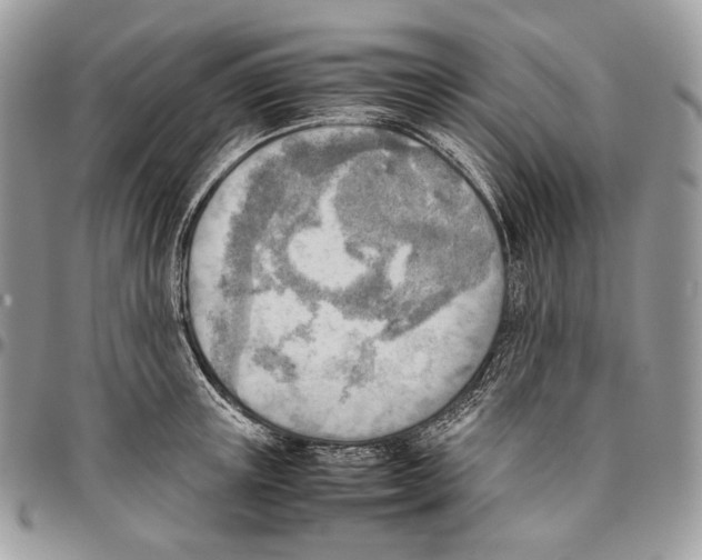 X0000095890851200802081116