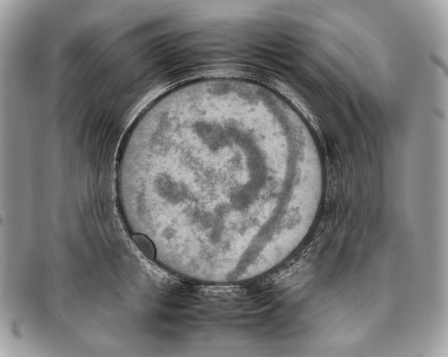 X0000095890853200802081116