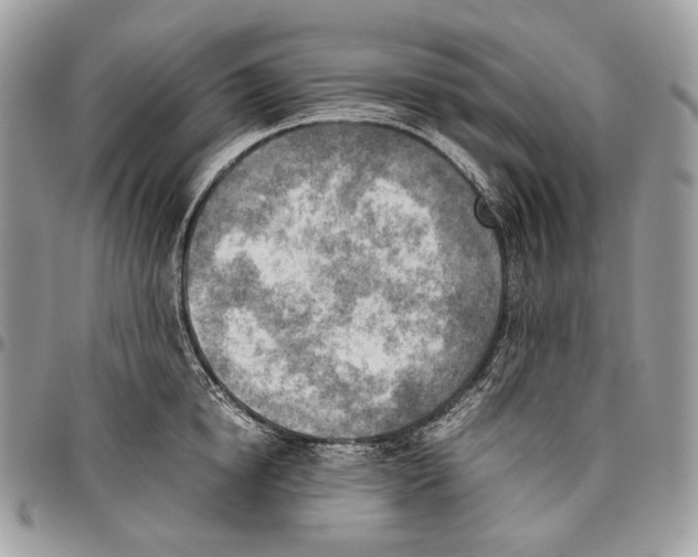 X0000095890854200802081116