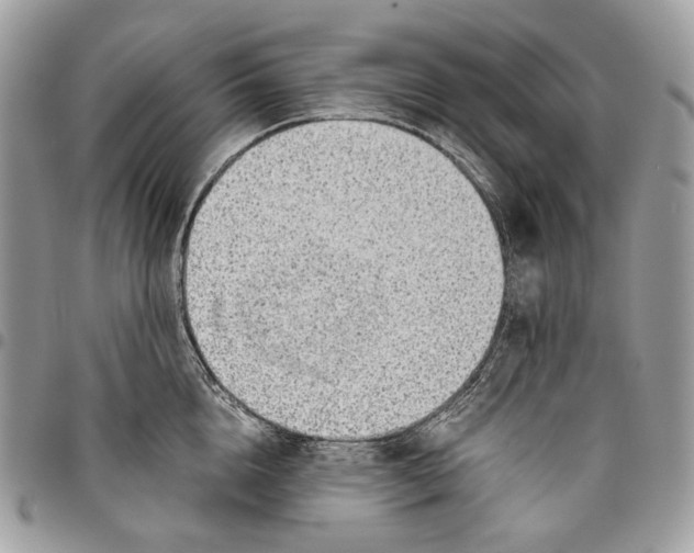 X0000095890856200802081116