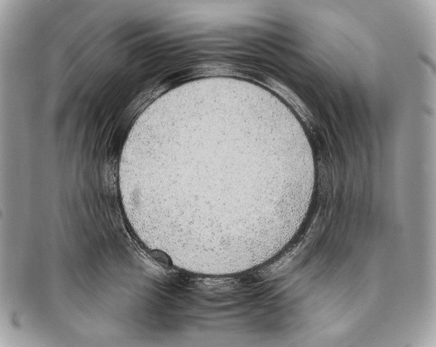 X0000095890857200802081116