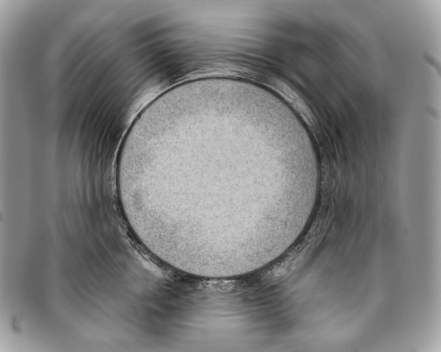 X0000095890858200802081116