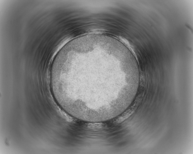X0000095890859200802081116