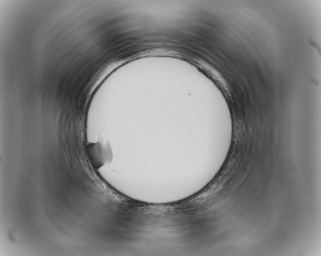 X0000095890860200802081116