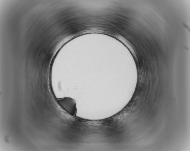 X0000095890861200802081116