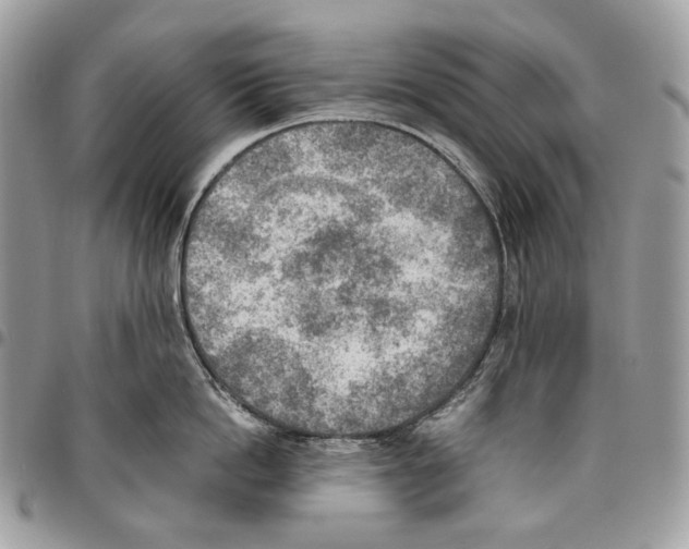 X0000095890862200802081116