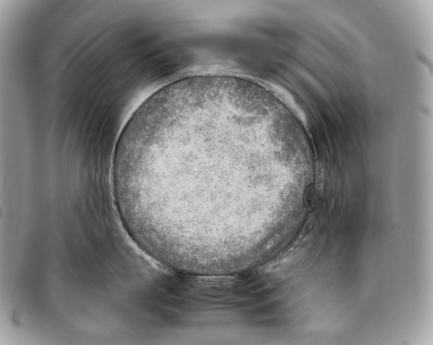 X0000095890863200802081116