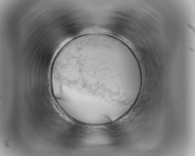 X0000095890864200802081116