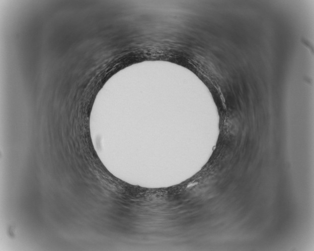 X0000095890865200802081115