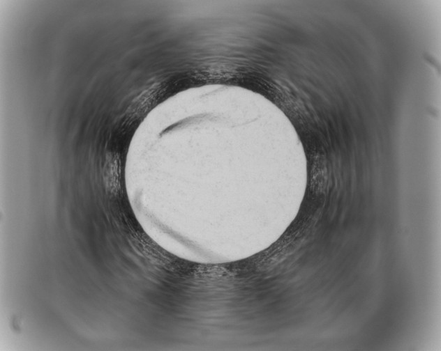 X0000095890866200802081115