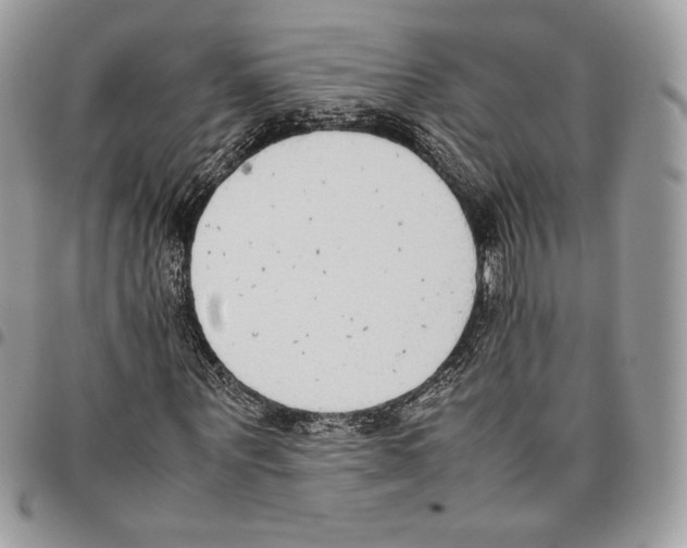 X0000095890867200802081115